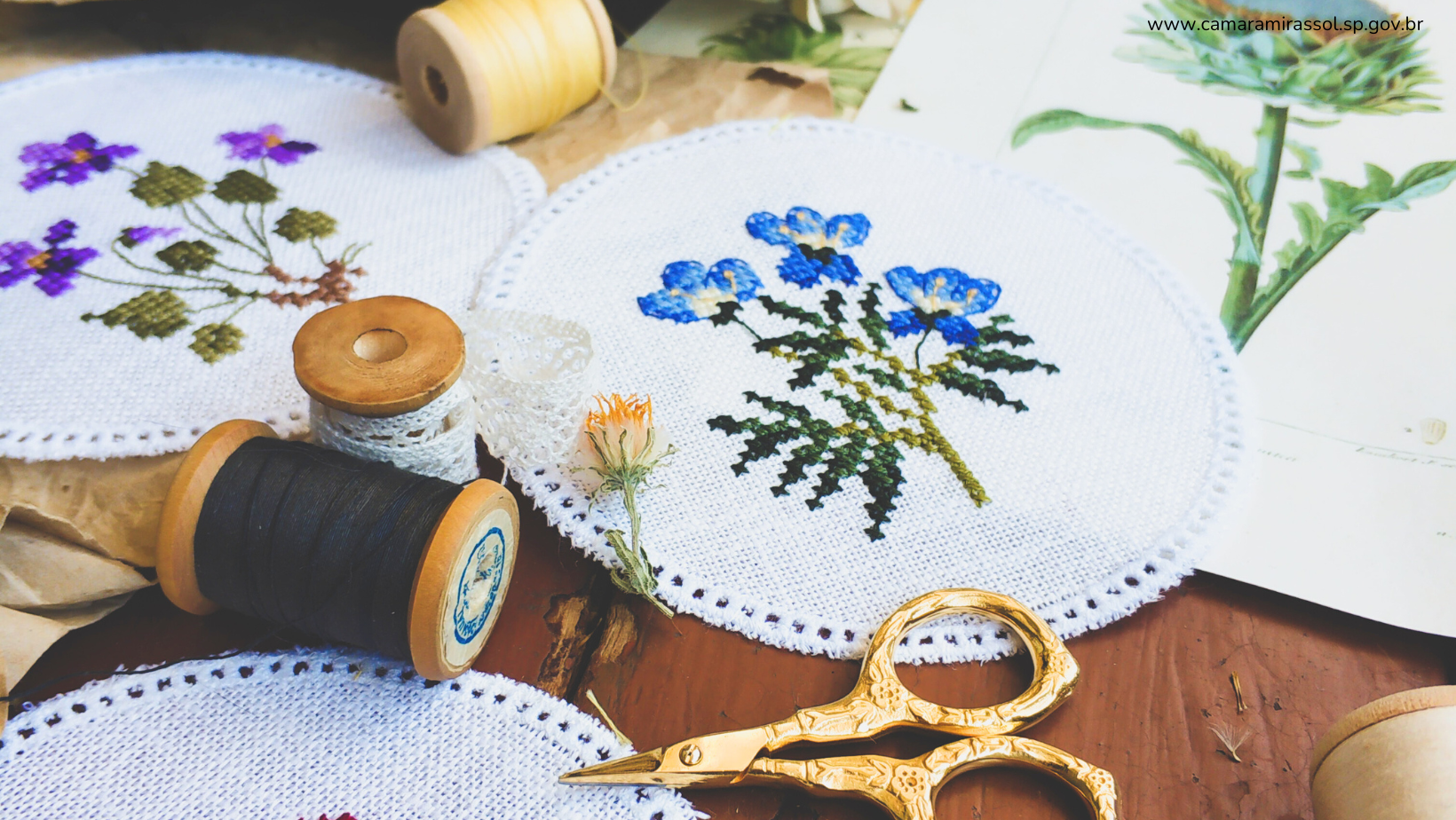 Divulgação / Banco de imagens