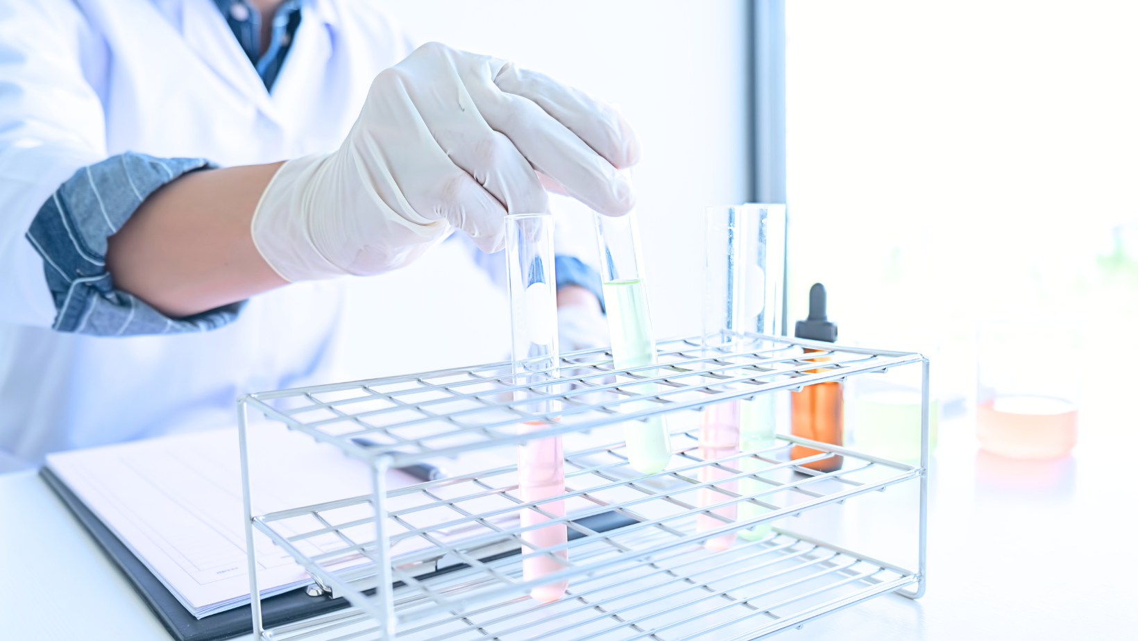 Banco de imagens / Canva