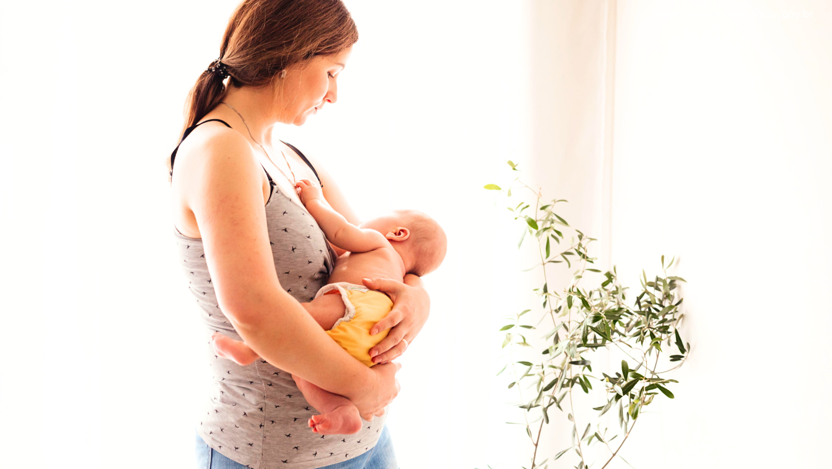 Divulgação / Banco de imagens