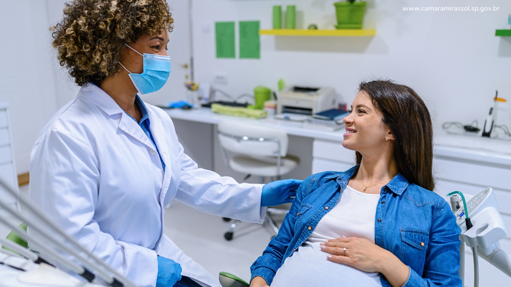 Divulgação / Canva