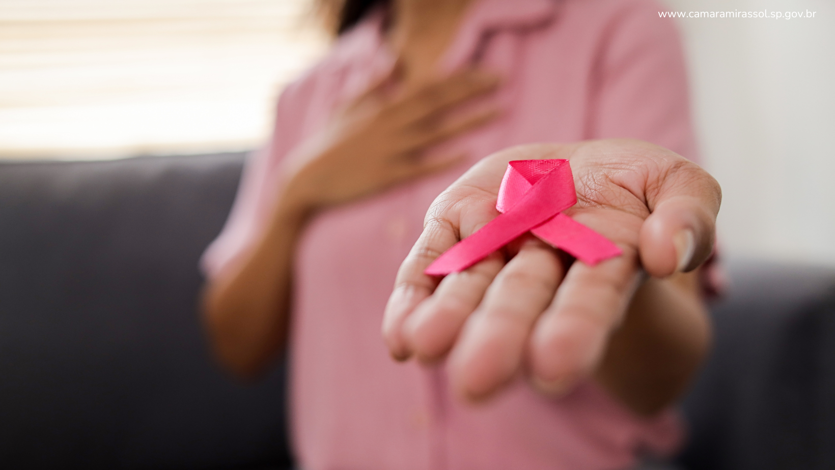 Divulgação / Canva