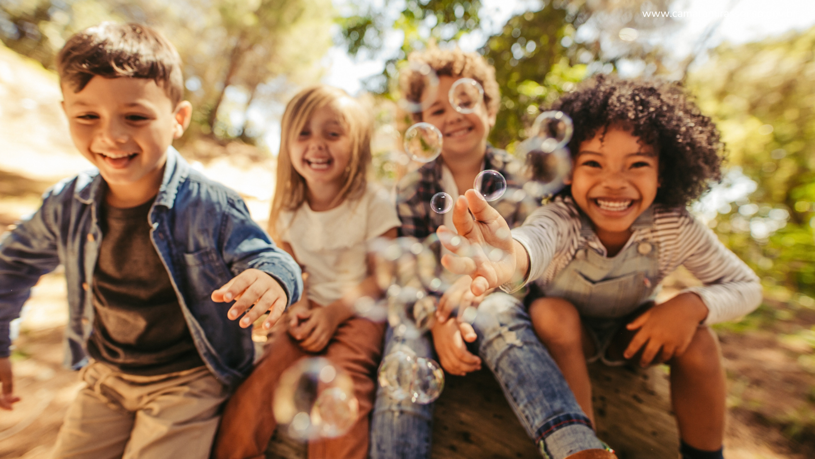 Divulgação / Canva