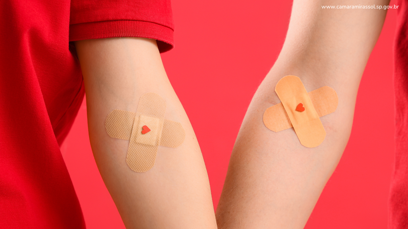 Divulgação / Canva