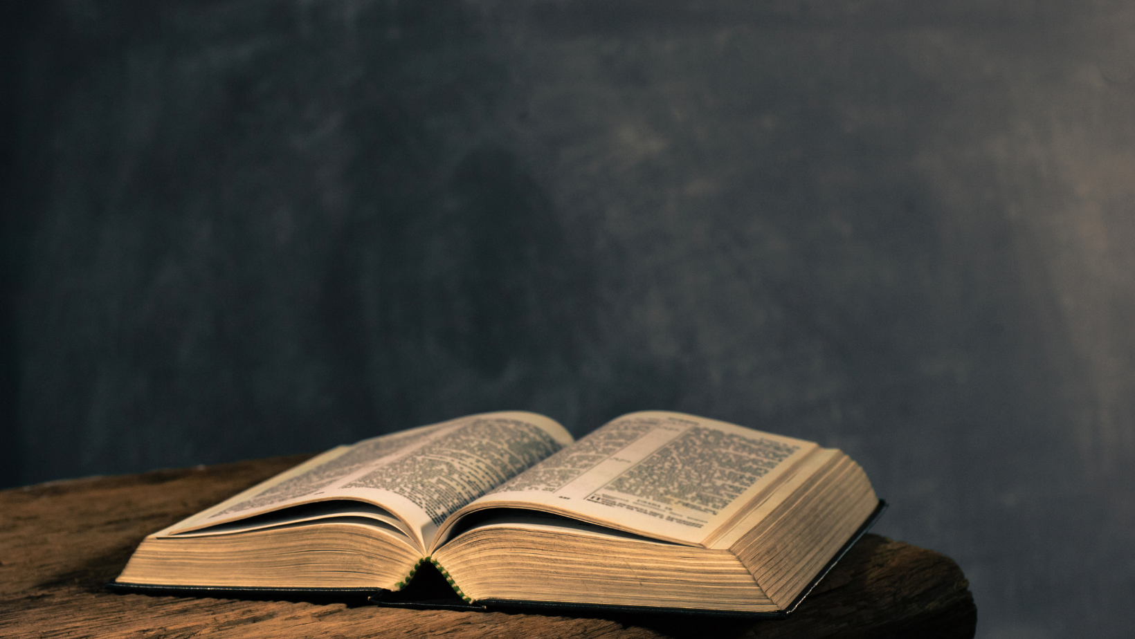 Divulgação / Canva