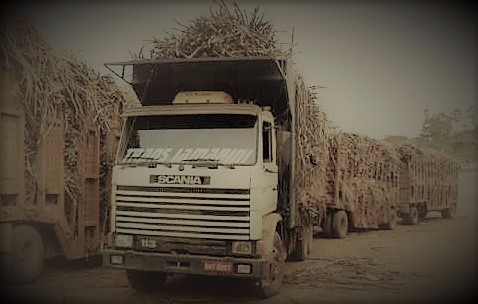 201783_caminhãocana2_Reprodução