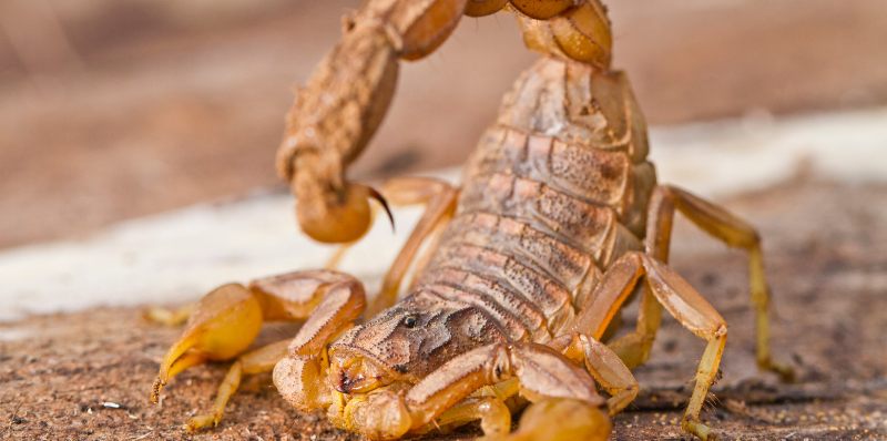 Divulgação / Banco de imagens