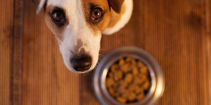 Divulgação / Banco de imagens