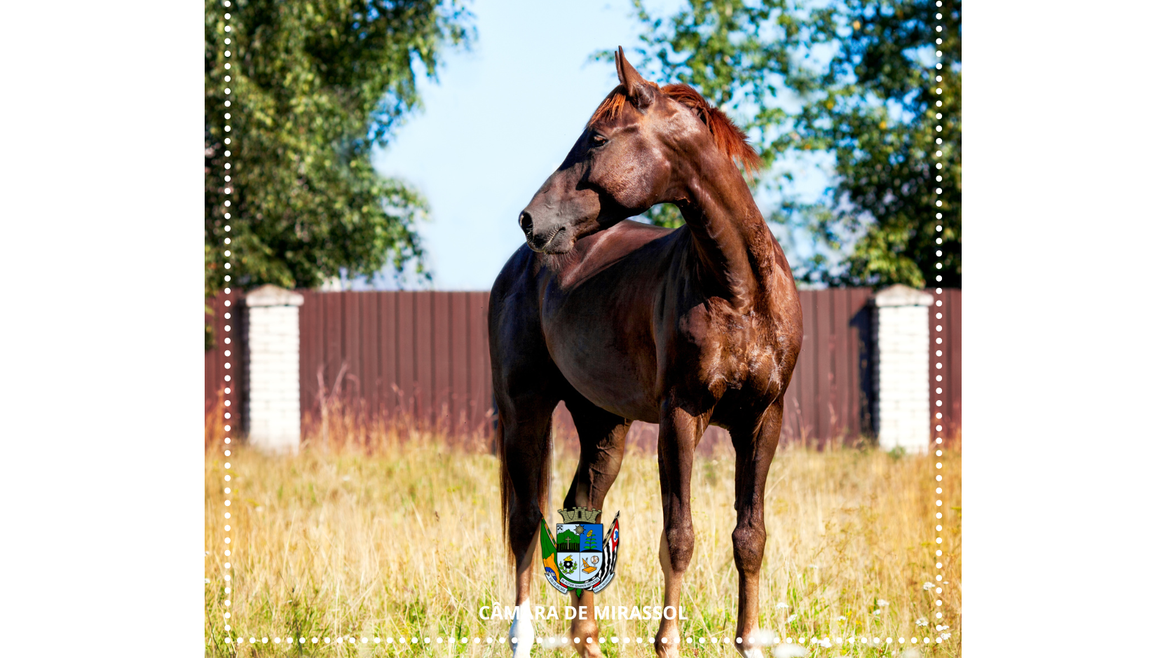 Divulgação / Canva 