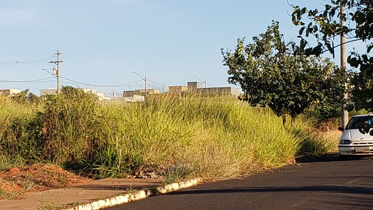 Situação de terreno no Parque dos Buritis / Divulgação